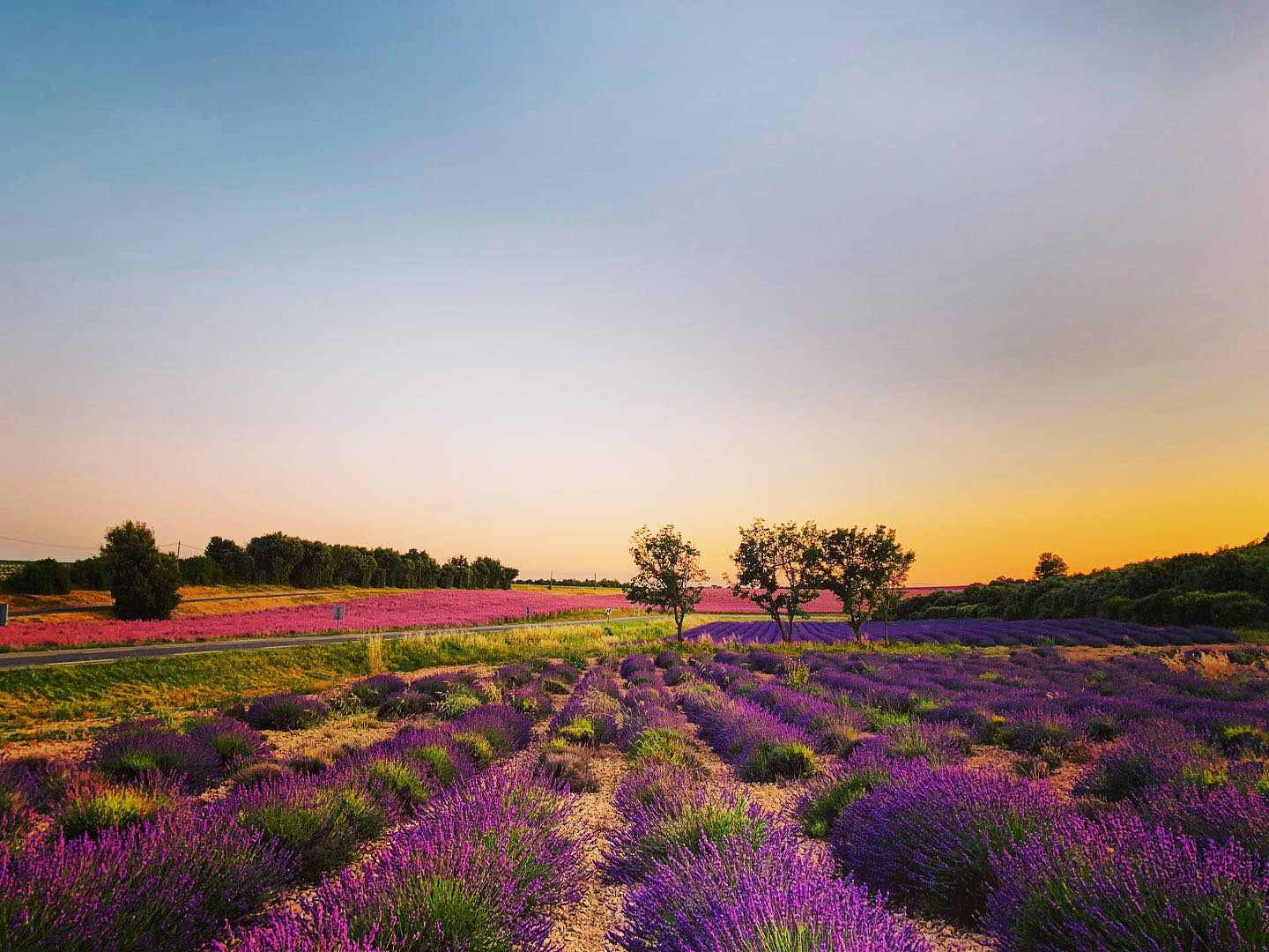 Valensole · Riez · Puimoisson